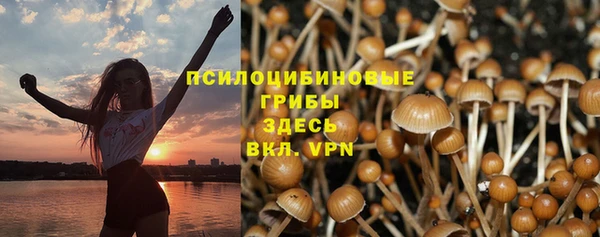 а пвп мука Баксан