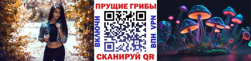 наркошоп  OMG tor  Галлюциногенные грибы Magic Shrooms  Нязепетровск 